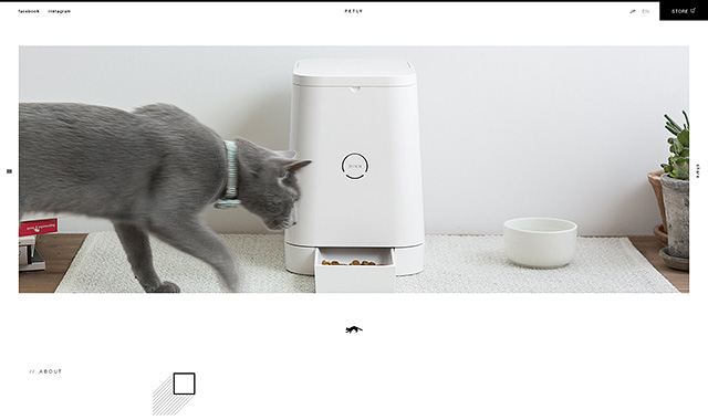 pet_sitedesign_04