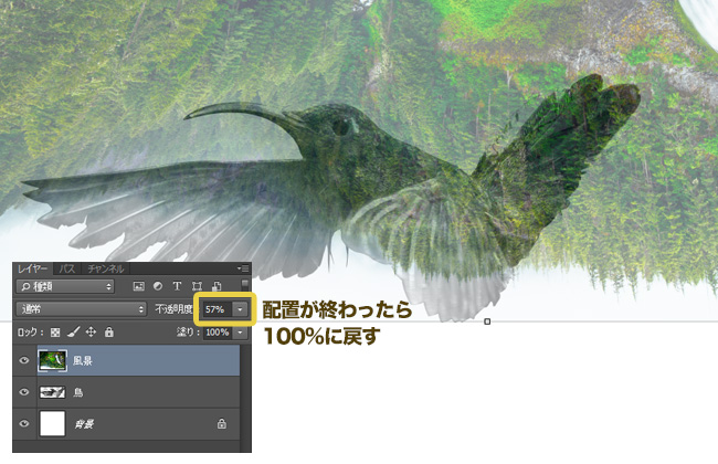 Photoshop_tajyuroko_flow_4