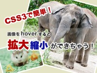 CSS3で簡単！hoverすると画像の拡大・縮小ができちゃう！