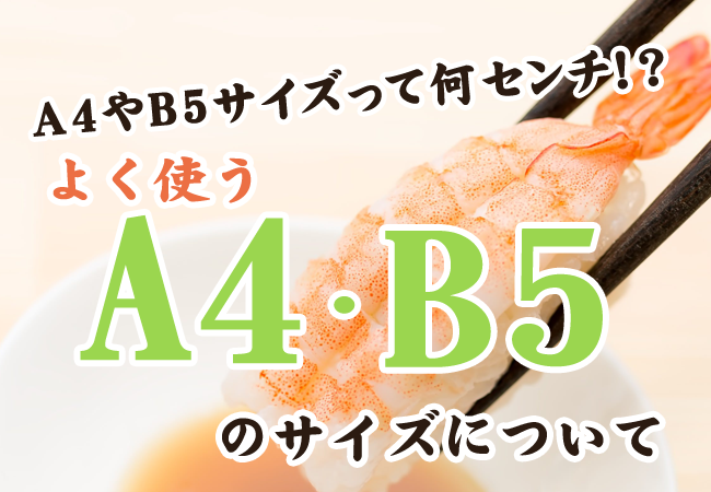 A4やB5サイズって何センチ！？よく使うA4・B5のサイズについて