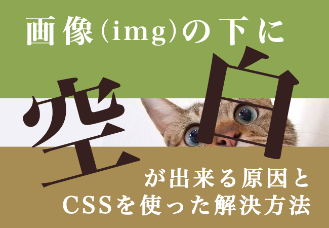 画像の下に空白が出来る原因とCSSを使った解決方法