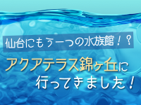 仙台にもう一つの水族館！？アクアテラス錦ヶ丘に行ってきました！