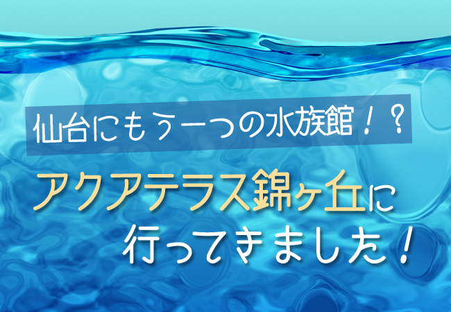 仙台にもう一つの水族館！？アクアテラス錦ヶ丘に行ってきました！