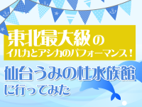 東北最大級のイルカとアシカのパフォーマンス！仙台うみの杜水族館に行ってみた