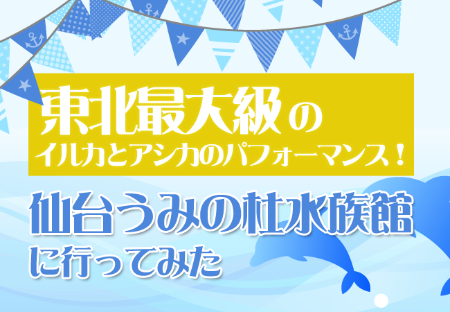 東北最大級のイルカとアシカのパフォーマンス！仙台うみの杜水族館に行ってみた