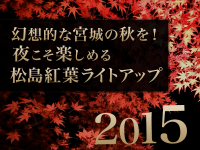 幻想的な宮城の秋を！夜こそ楽しめる松島紅葉ライトアップ2015