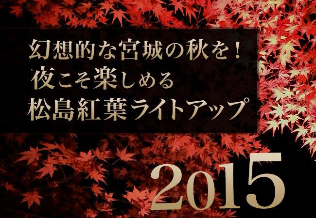 幻想的な宮城の秋を！夜こそ楽しめる松島紅葉ライトアップ2015