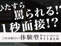 ひたすら罵られる!?1秒面接!?これは面白い、体験型キャンペーンサイトまとめ