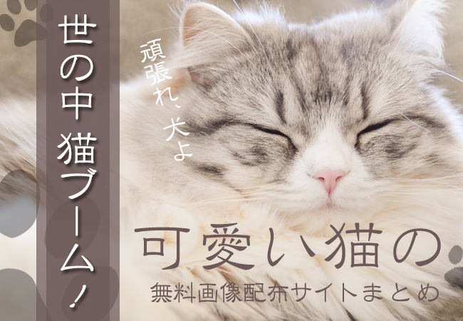 世の中、猫ブーム！可愛い猫の無料画像配布サイトまとめ