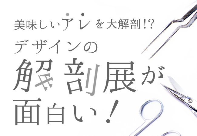 美味しいアレを大解剖！？「デザインの解剖展」が面白い！