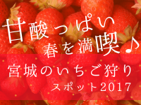 甘酸っぱい春を満喫♪宮城のいちご狩りスポット2017