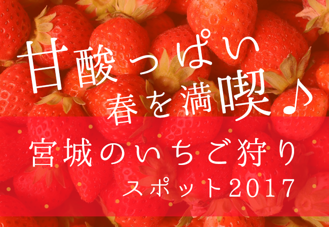 甘酸っぱい春を満喫♪宮城のいちご狩りスポット2017