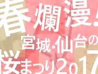 春爛漫！宮城・仙台の桜まつり2017