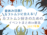 夏休み目前！カブトムシに会える！カブトムシ好きのためのイベントまとめin東北