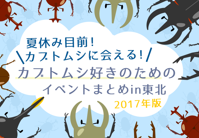 夏休み目前！カブトムシに会える！カブトムシ好きのためのイベントまとめin東北