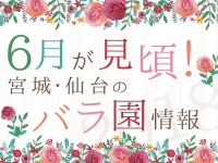 6月が見ごろ！宮城・仙台のバラ園情報2018