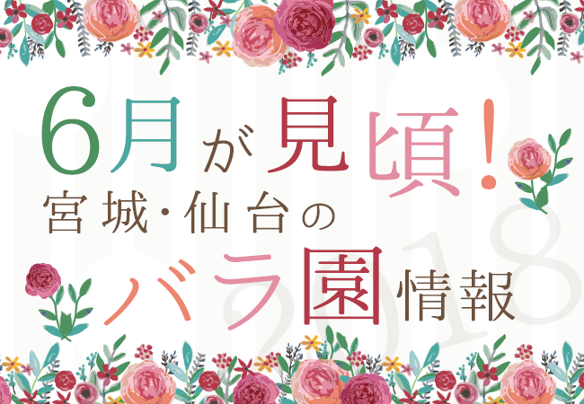 6月が見ごろ！宮城・仙台のバラ園情報2018